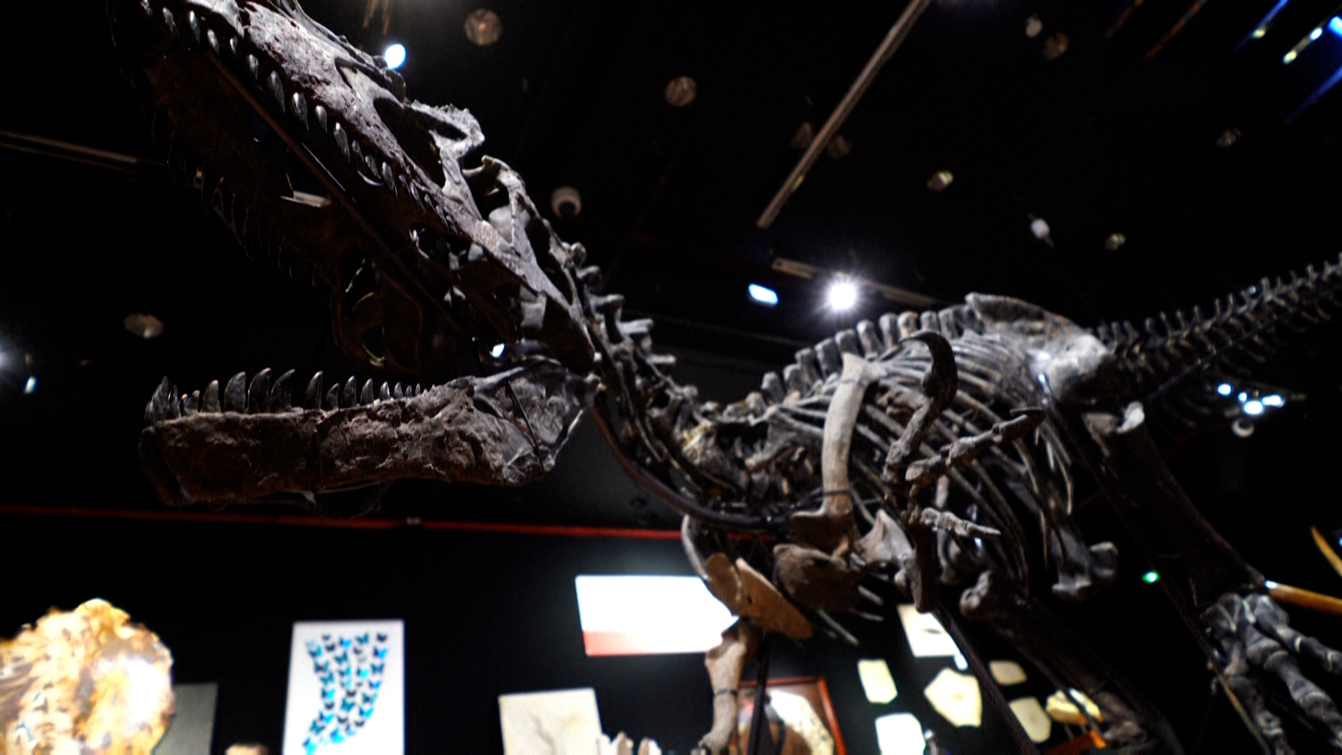 Juxtapoz Magazine - The Gilded Dinosaur Skeleton Installation