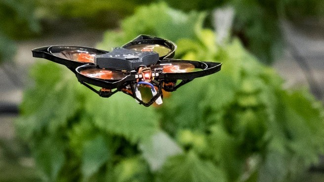 Moth control drone