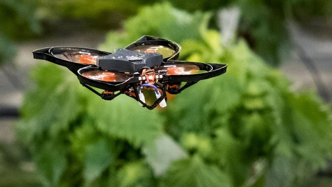 Moth control drone can kill pests without spraying