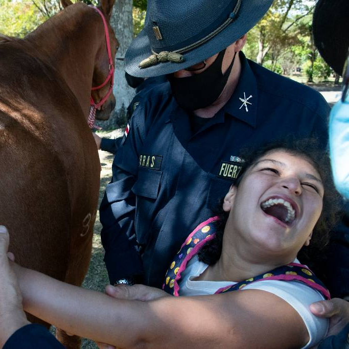 Fourlegged therapy as horses provide support for people CGTN