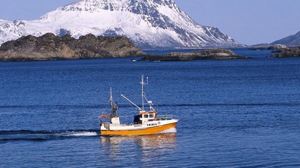 Uk Norway Fishing Row There Will Be No Cod For Our National Dish Cgtn
