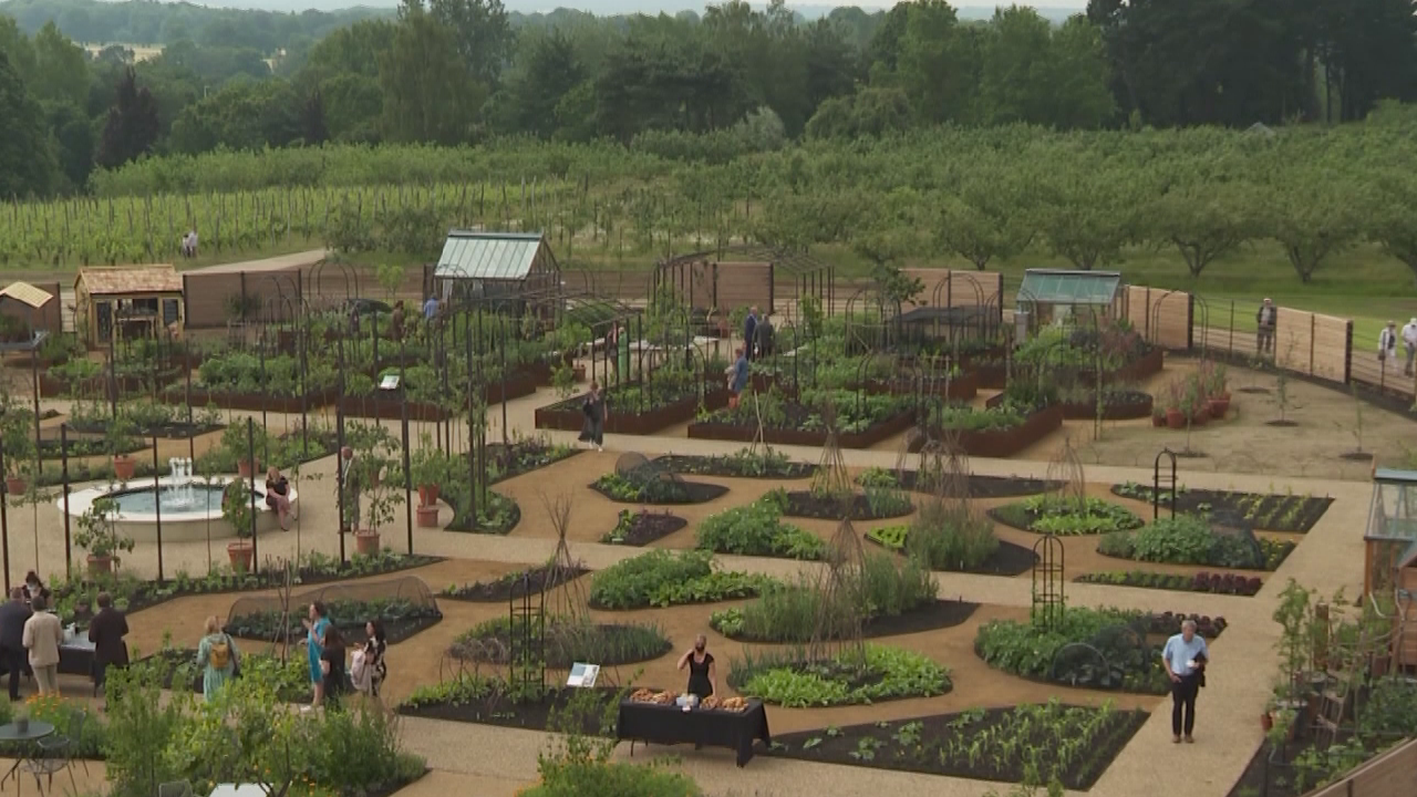 UK's first dedicated gardening science hub opens in full bloom CGTN