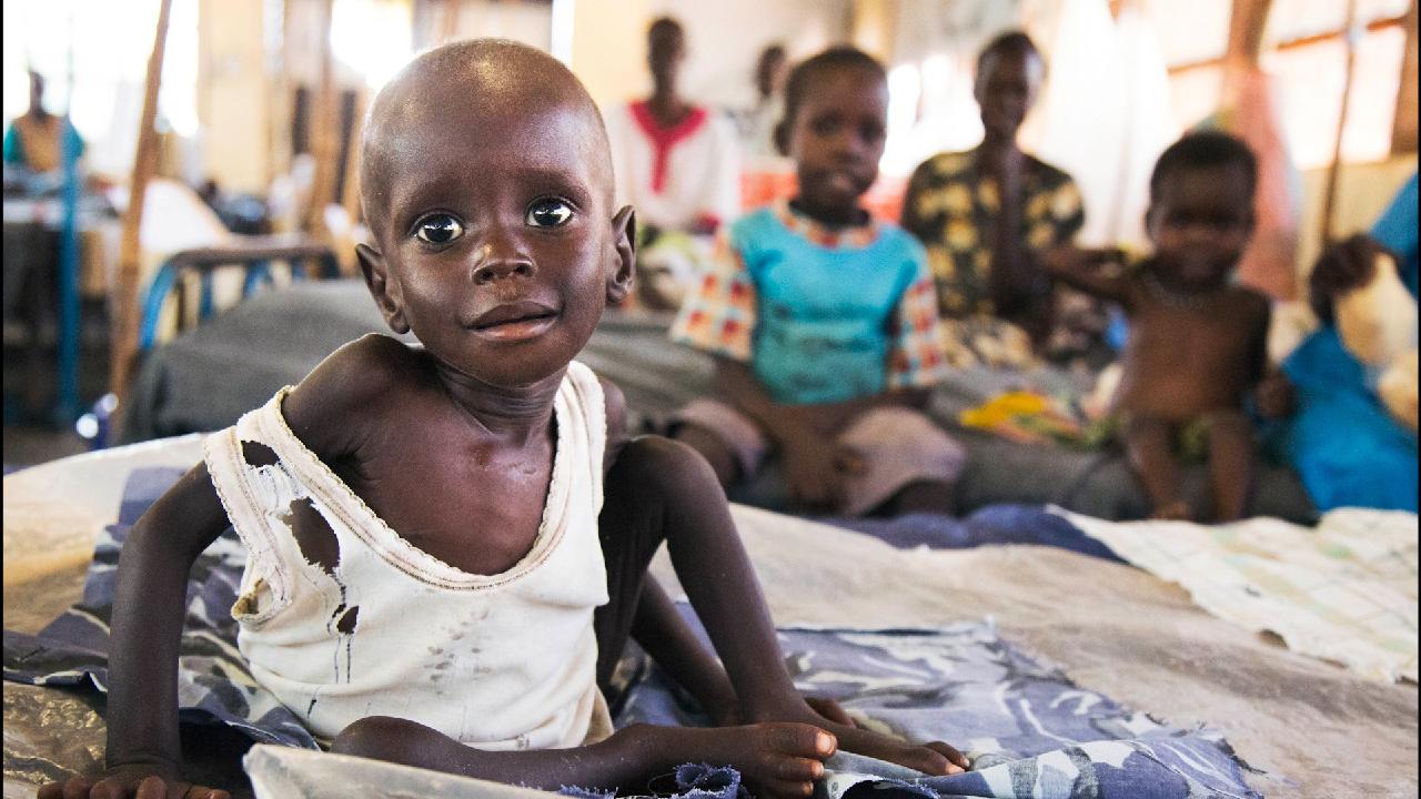 globally, what is the major cause of famine? pests flood armed conflict ozone depletion drought globally, what is the major cause of famine? pests flood armed conflict ozone depletion drought