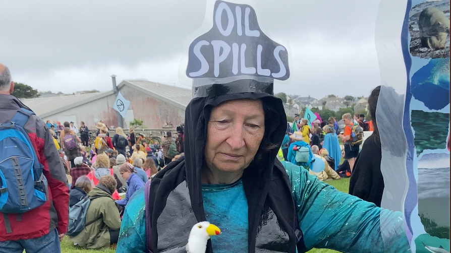 Who is the grandmother rebelling for the environment?