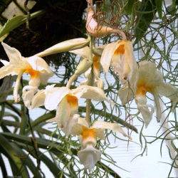 189179ff4e0a4e7dacb09c02080299