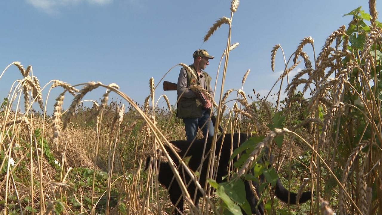 Hunters and conservationists team up to save the dwindling partridge population