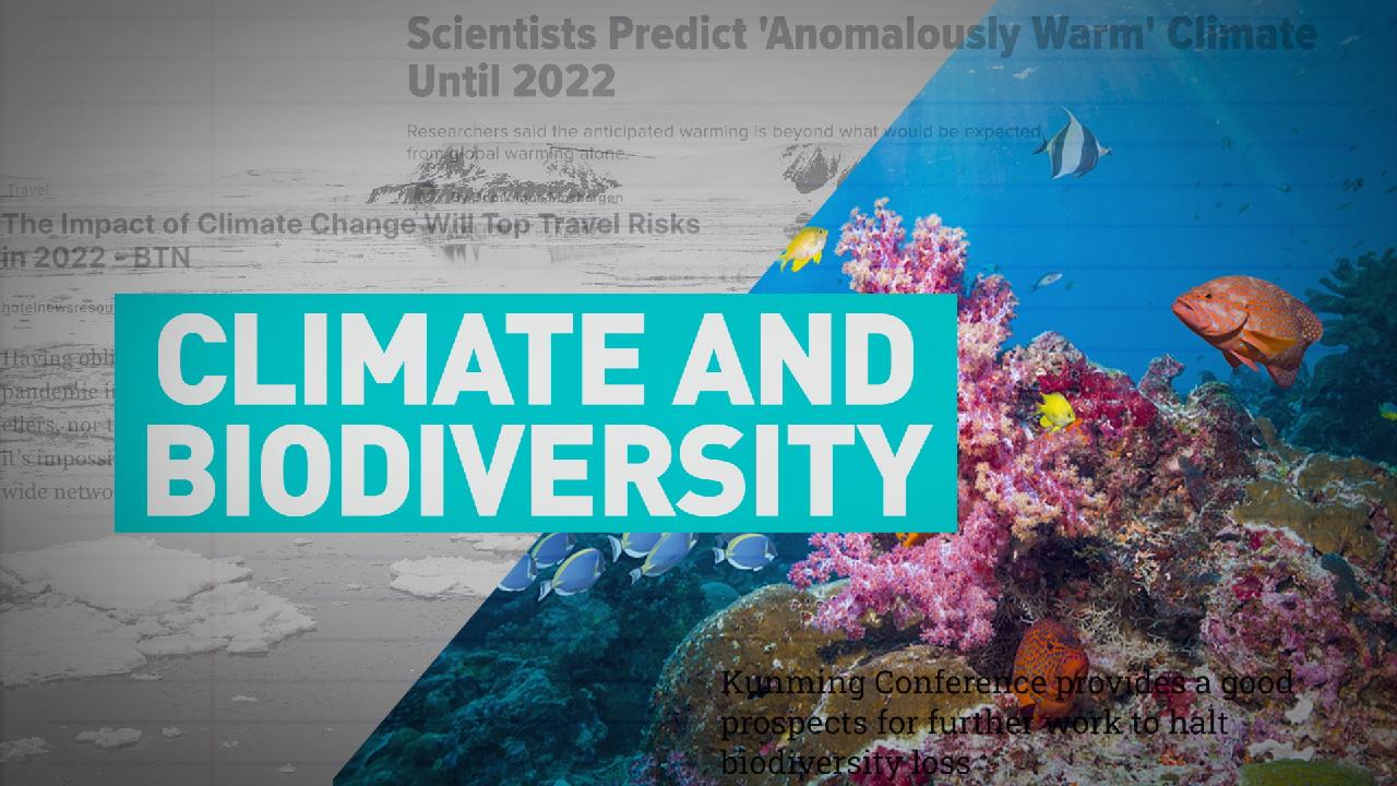 CLIMATE & BIODIVERSITY: Nations taking action because of economy, WWF ...