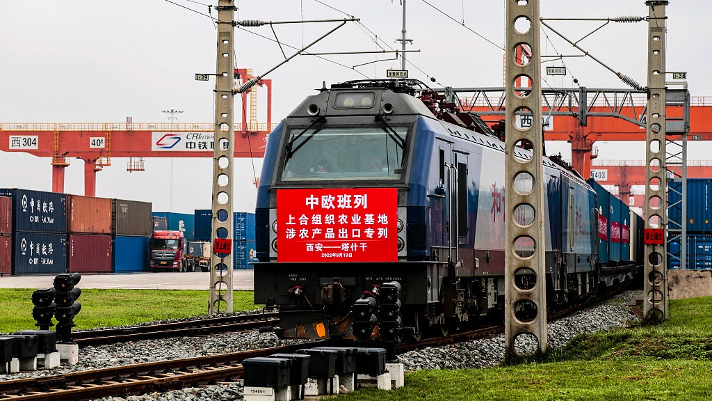 Xi'an International Port Station is a busy place for freight transportation. /CFP