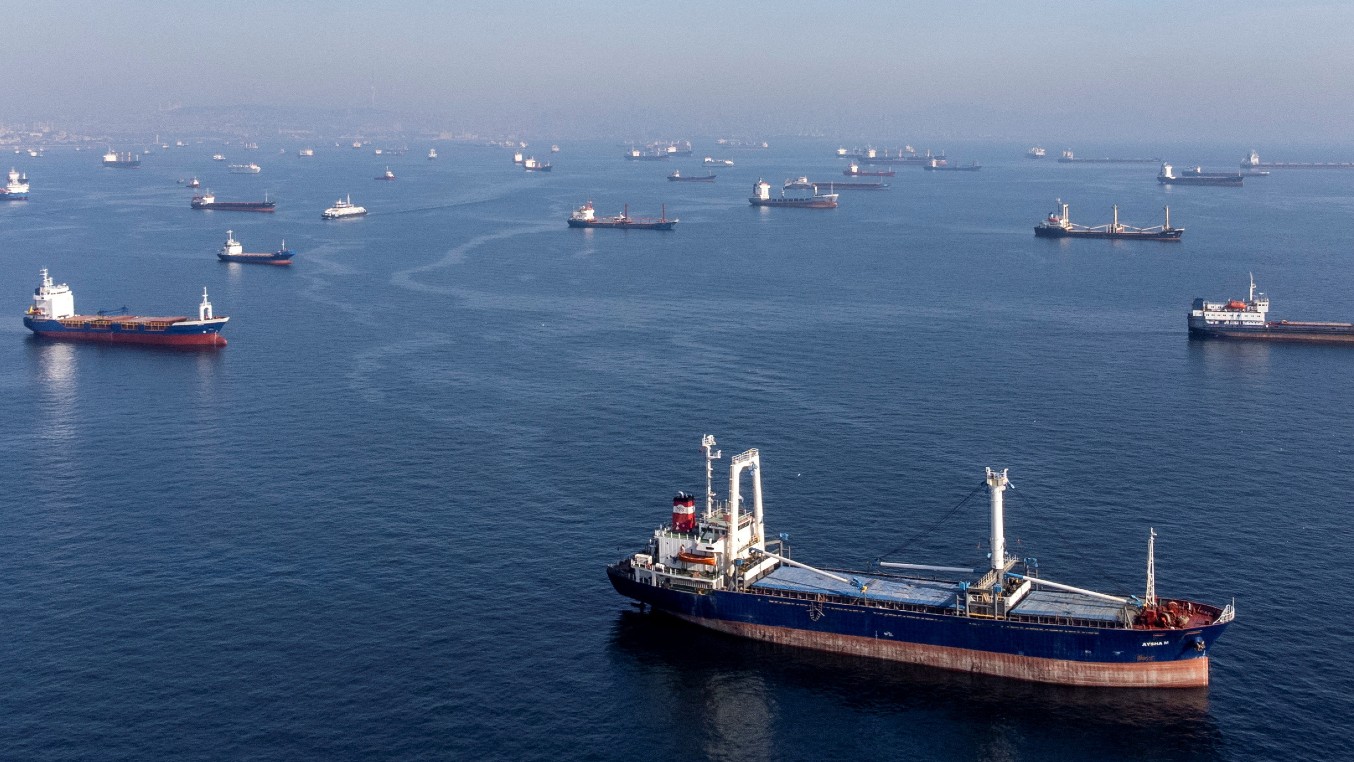 Vessels that are part of the Black Sea grain deal wait to begin their voyage off the coast of Istanbul. /Umit Bektas / Reuters