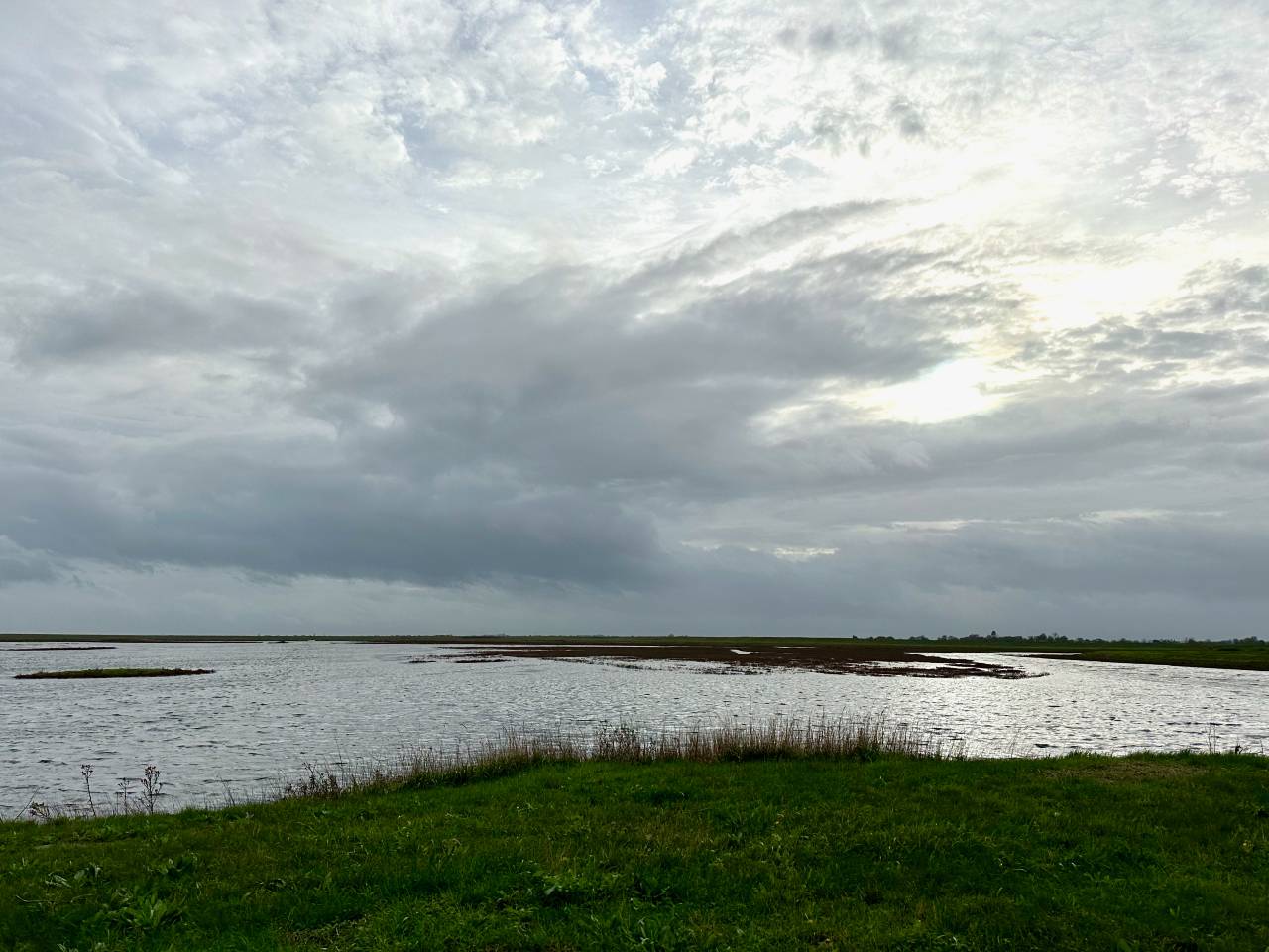 Over half of the UK's salt marshes were lost in recent centuries, drained for agriculture and development. /CGTN Europe