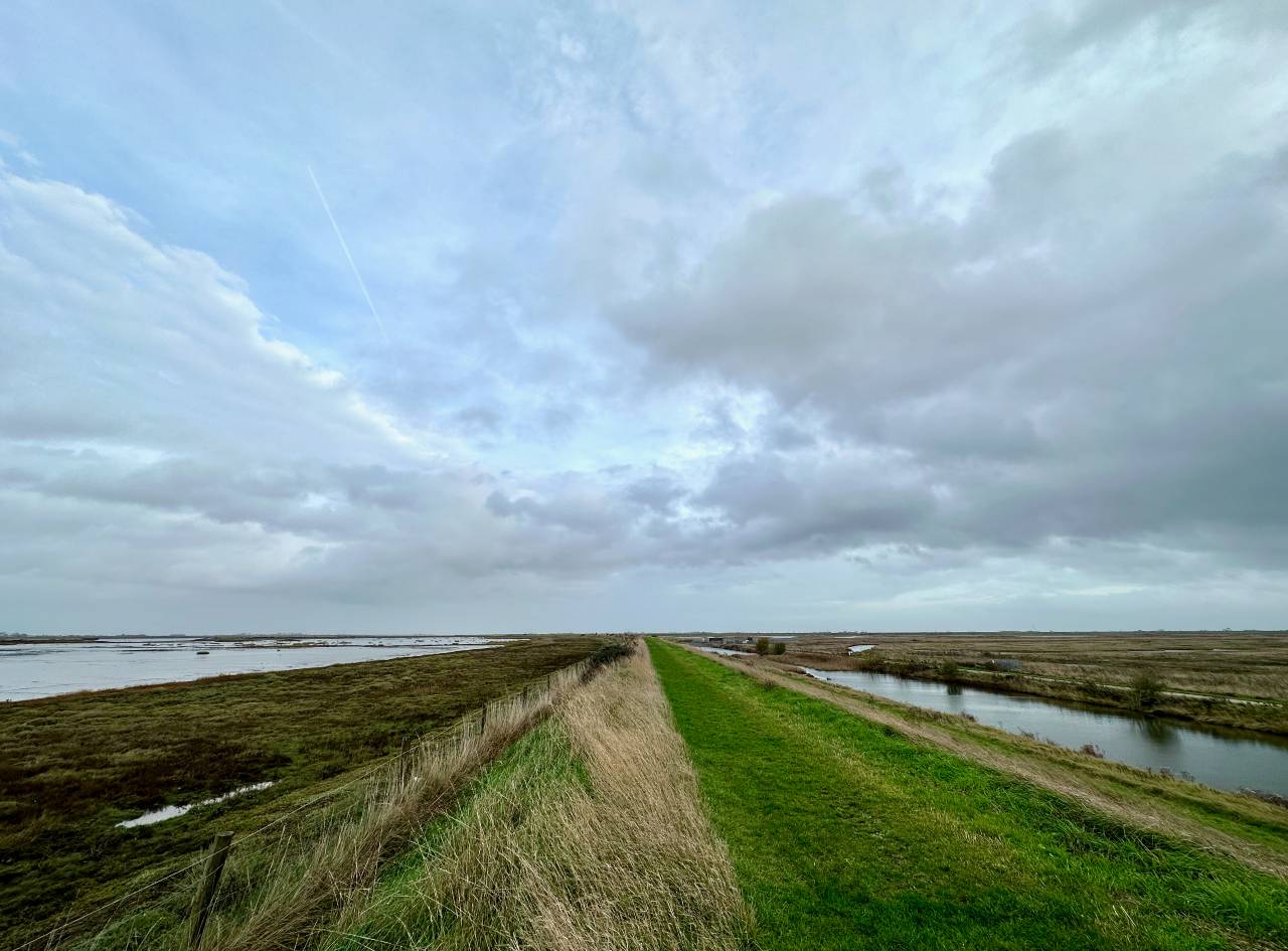 The salt marsh along the Essex coast is at risk from erosion. /CGTN Europe