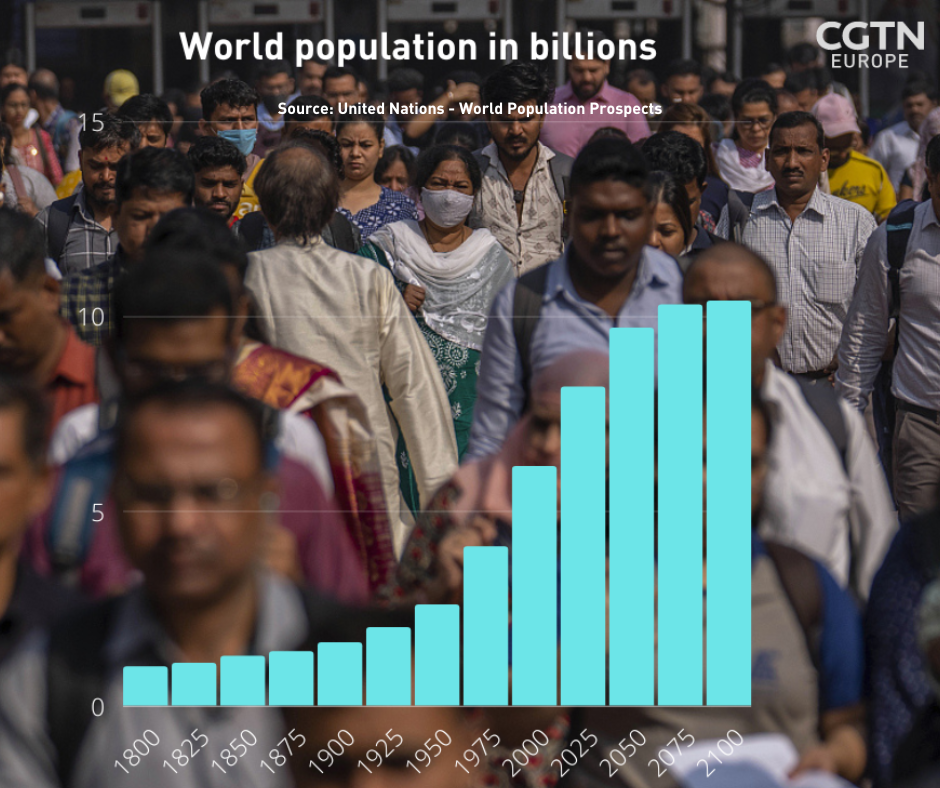 World population reaches 8 billion – can we cope?