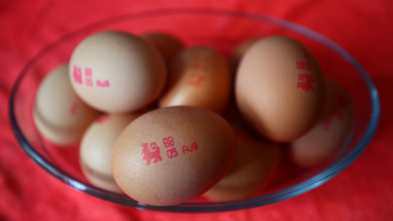 Many farmers say egg production is financially unsustainable in the long term. /Hannah McKay/File photo/Reuters