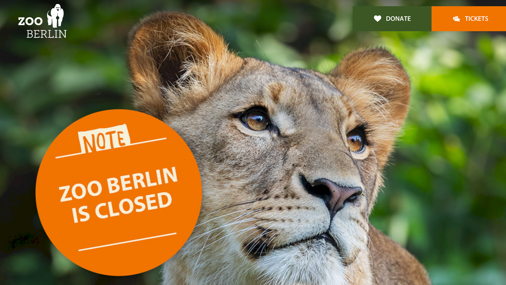 Berlin zoo website announcing closure./Berlin Zoo