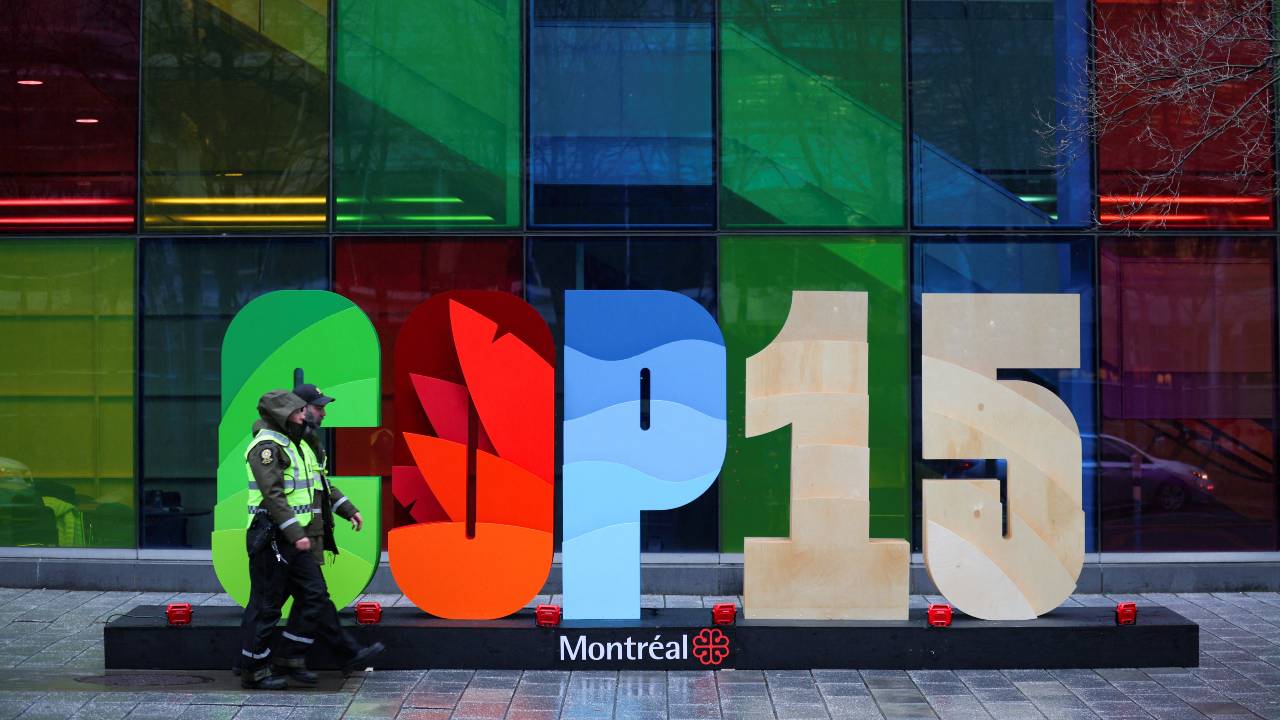 The COP15 UN biodiversity summit is taking place in Montreal. /Christinne Muschi/Reuters