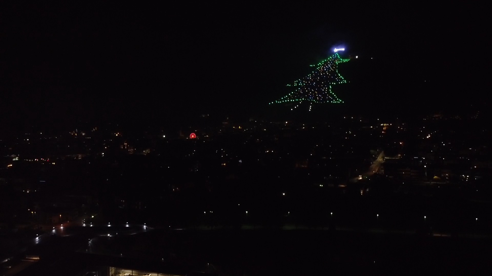 The tree towers over the nearby town. /Photo Studio Gubbo