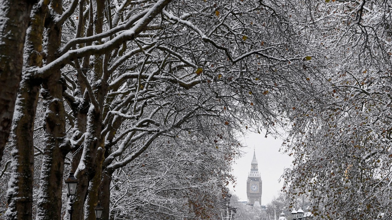 Trees are covered in snow in front of the Big Ben as the UK remains in the grip of cold weather. /Toby Melville/Reuters