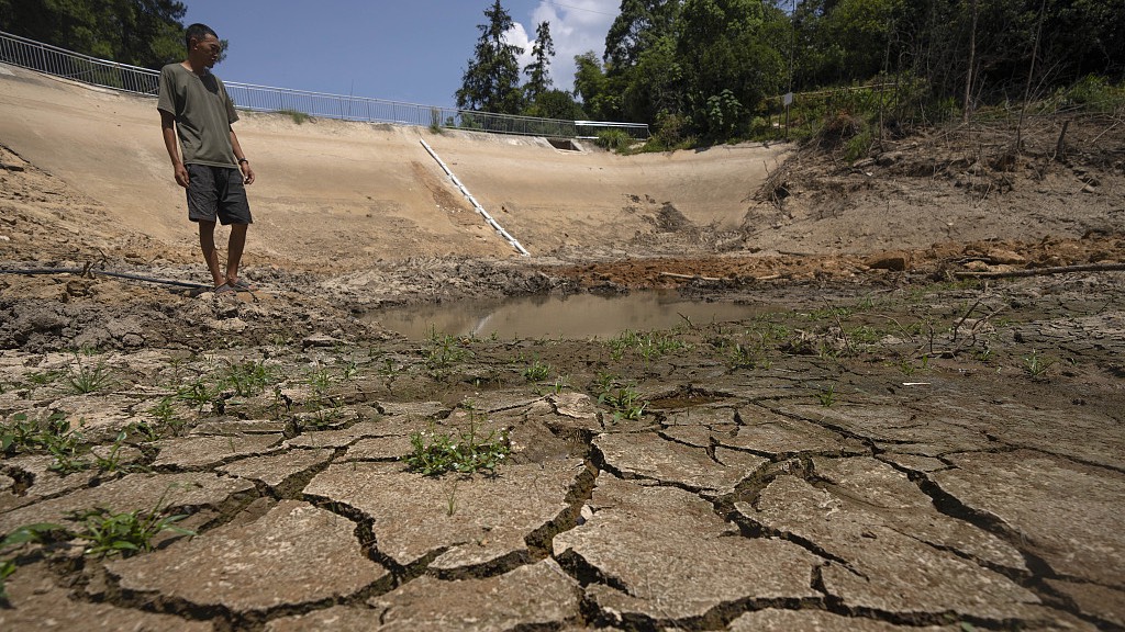 The hot weather in Chongqing cut off 66 rivers and 34 districts as the counties suffered from drought. /CFP