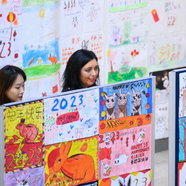 Northern Ireland celebrates Year of Rabbit with poster competition - CGTN