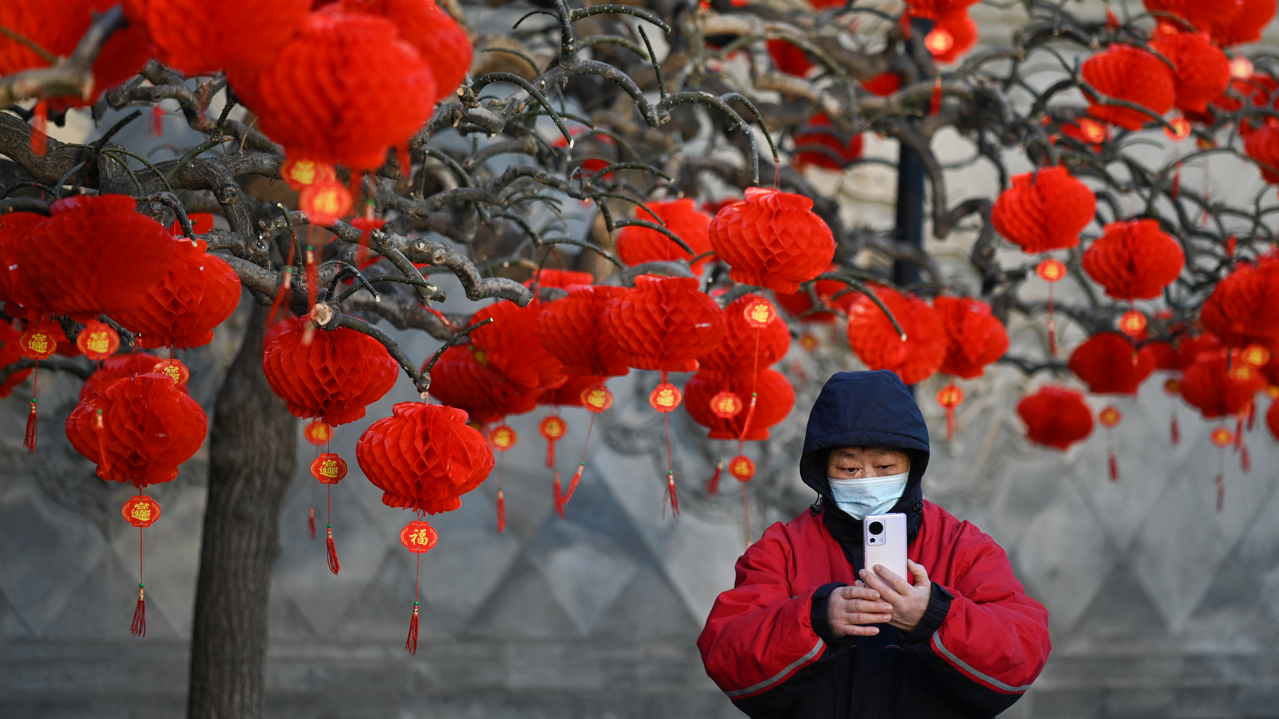 A woman takes a picture next a tree illustrated by paper lanterns at the entrance of a park during Chinese lunar new year in Beijing on January 26, 2023. /Wang Zhao/AFP
