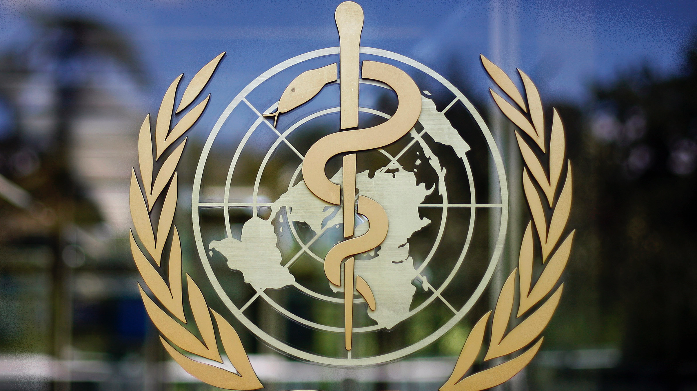 A statement issued by the WHO said that the virus was likely in a 