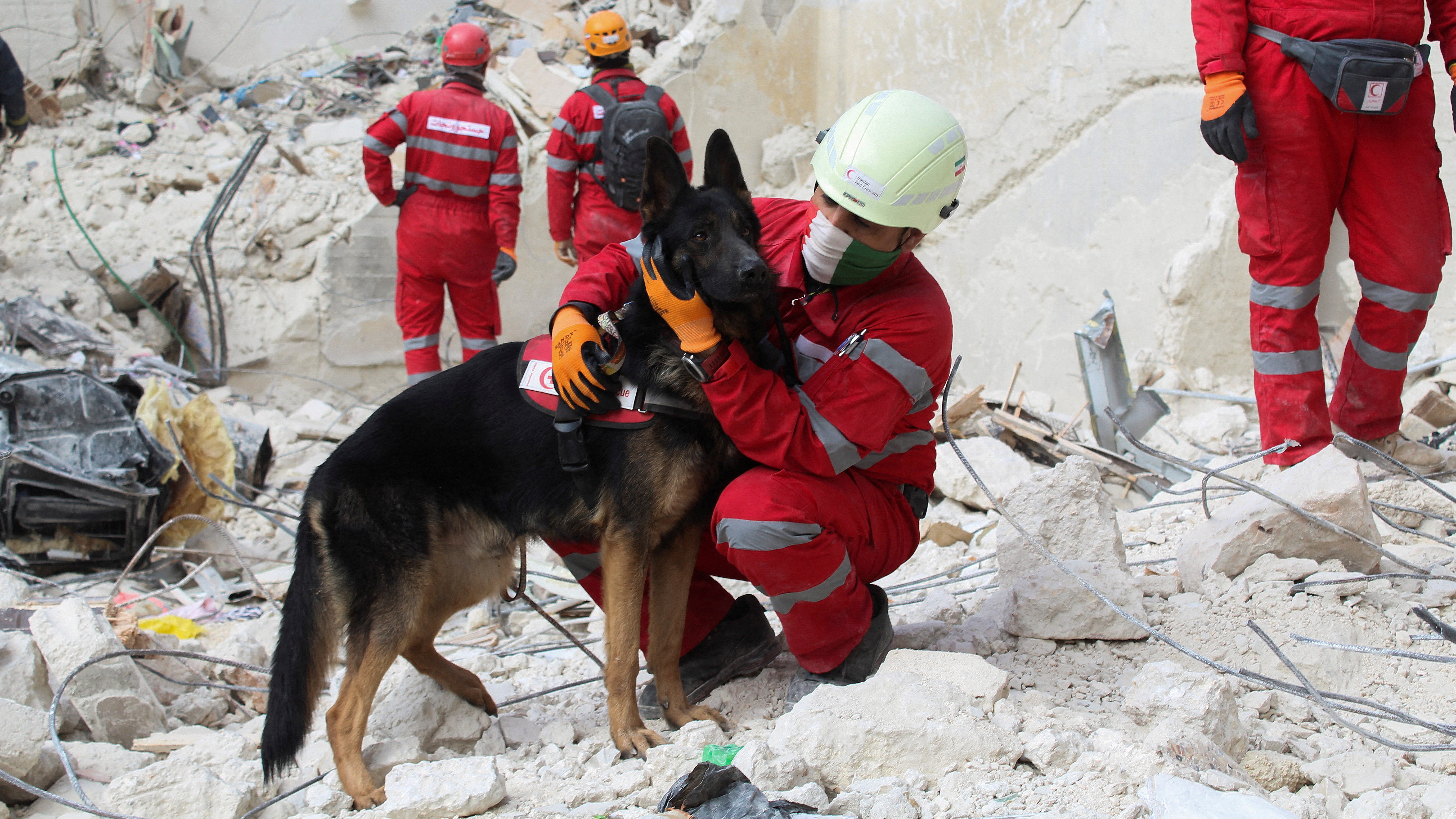 A member of the Iranian rescue team holds a rescue dog as he stands amid the rubble of a damaged building in Aleppo. /Firas Makdesi/Reuters