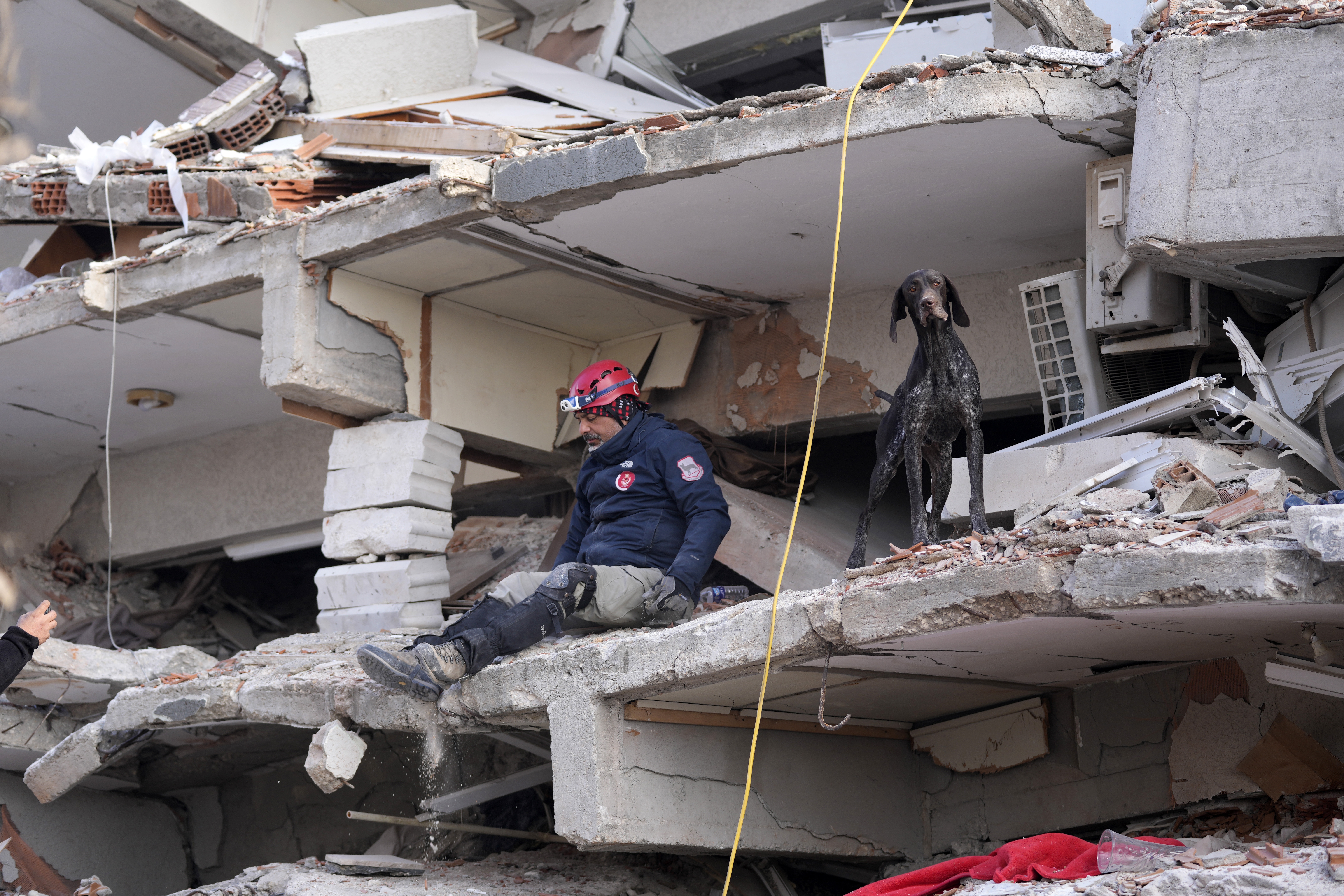 A rescuer with a sniffer dog searches in a destroyed building in Antakya. /Hussein Malla/AP