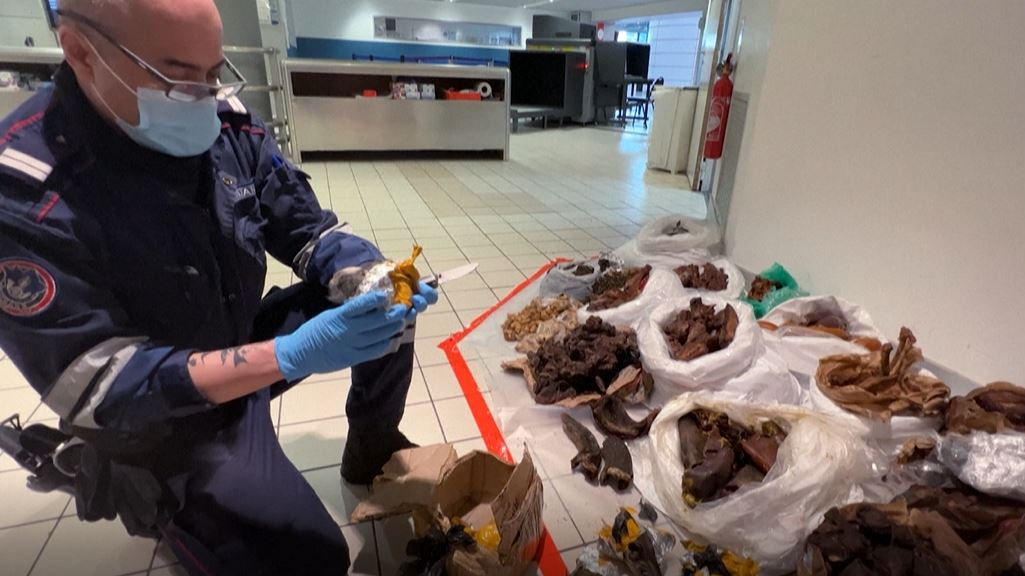 Customs officers face a gruesome task at the Paris airport./AFP