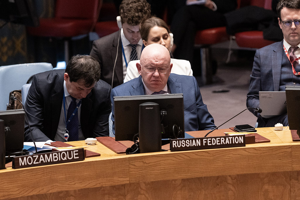 Russia's UN Ambassador Vasily Nebenzya told the UN Security Council there was 