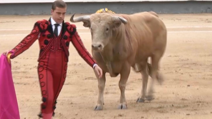 The recent rulings have drawn criticism and anger from the anti-bullfighting lobby. /CGTN