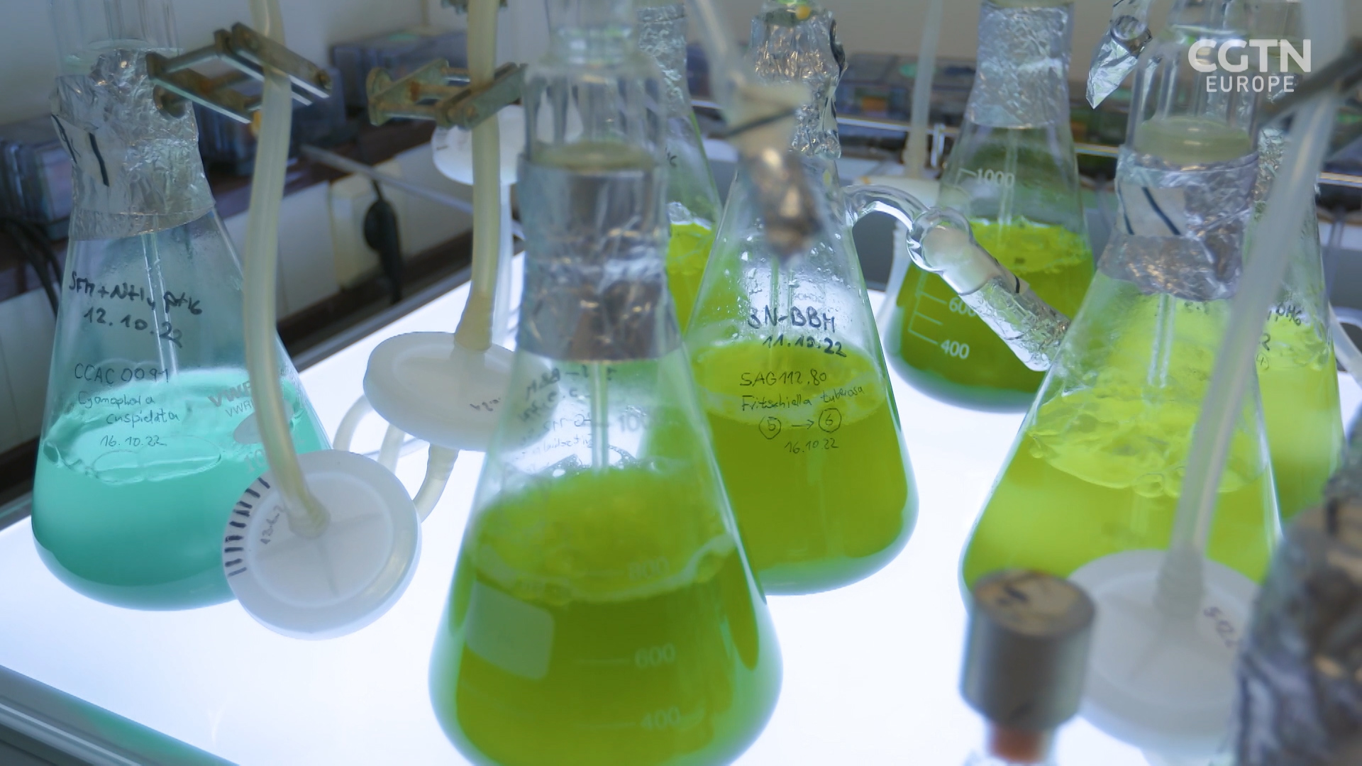 Algae samples at the Max-Planck institute in Cologne. /CGTN/