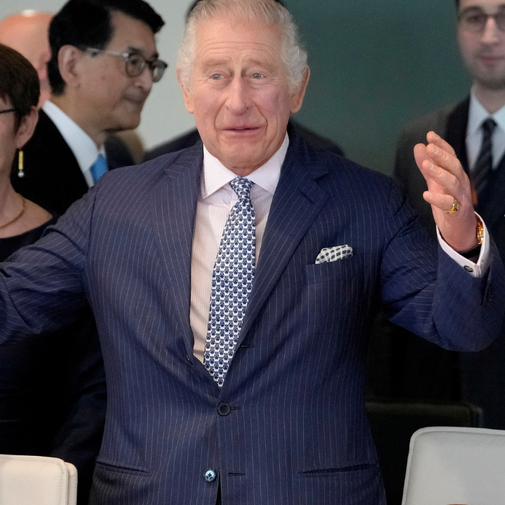 King Charles postpones France visit following violent protests - CGTN