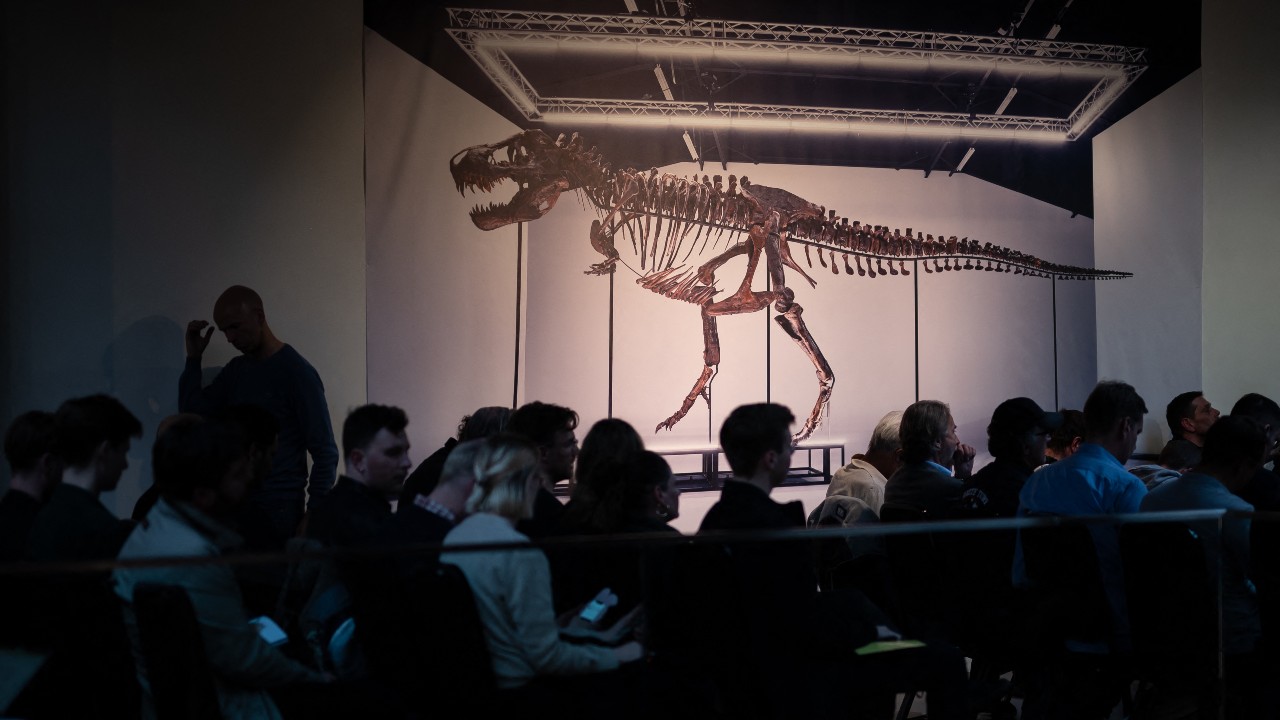 Trinity's skeleton is a composite of remains from three dinosaurs excavated between 2008 and 2013 from the Hell Creek and Lance Creek formations in Montana and Wyoming. /Fabrice Coffrini/AFP