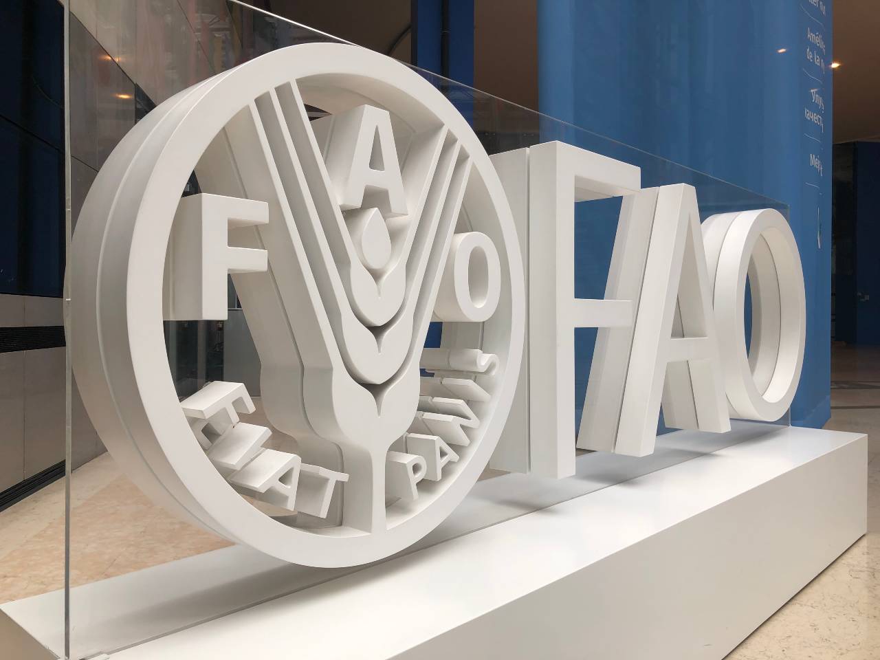 The FAO paints a bleak picture in its report. /CGTN/Giles Gibson