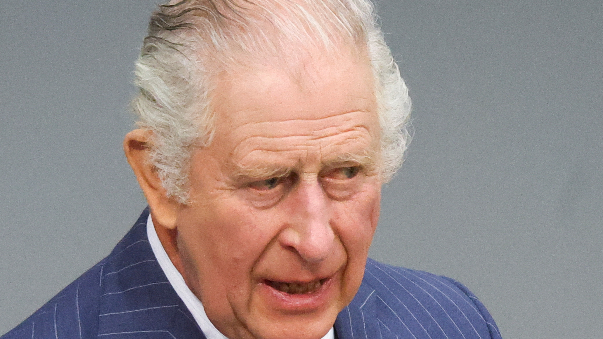 Charles III has endured a mixed relationship with the British public but his charity and environmental work has improved his popularity./Reuters/Wolfgang Rattay.