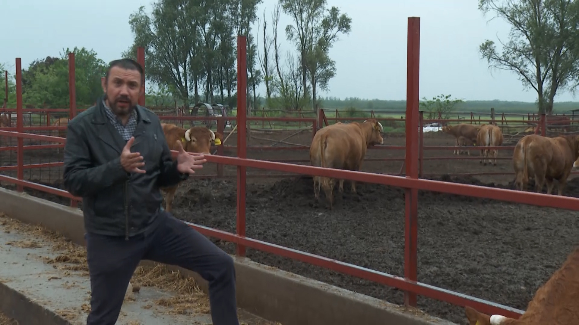 Pablo Gutierrez visited a Hungarian ranch to explore the beef trade./ CGTN Europe