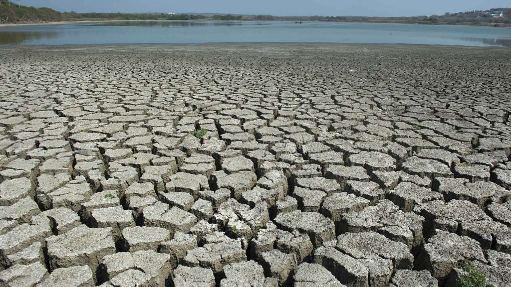 El Niño causes droughts as sea temperatures rise./CFP