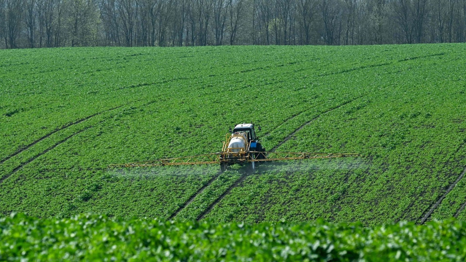 Spraying fertilizer on the farm is damaging to birdlife, say environmentalists. /Sergei Supinsky/CFP