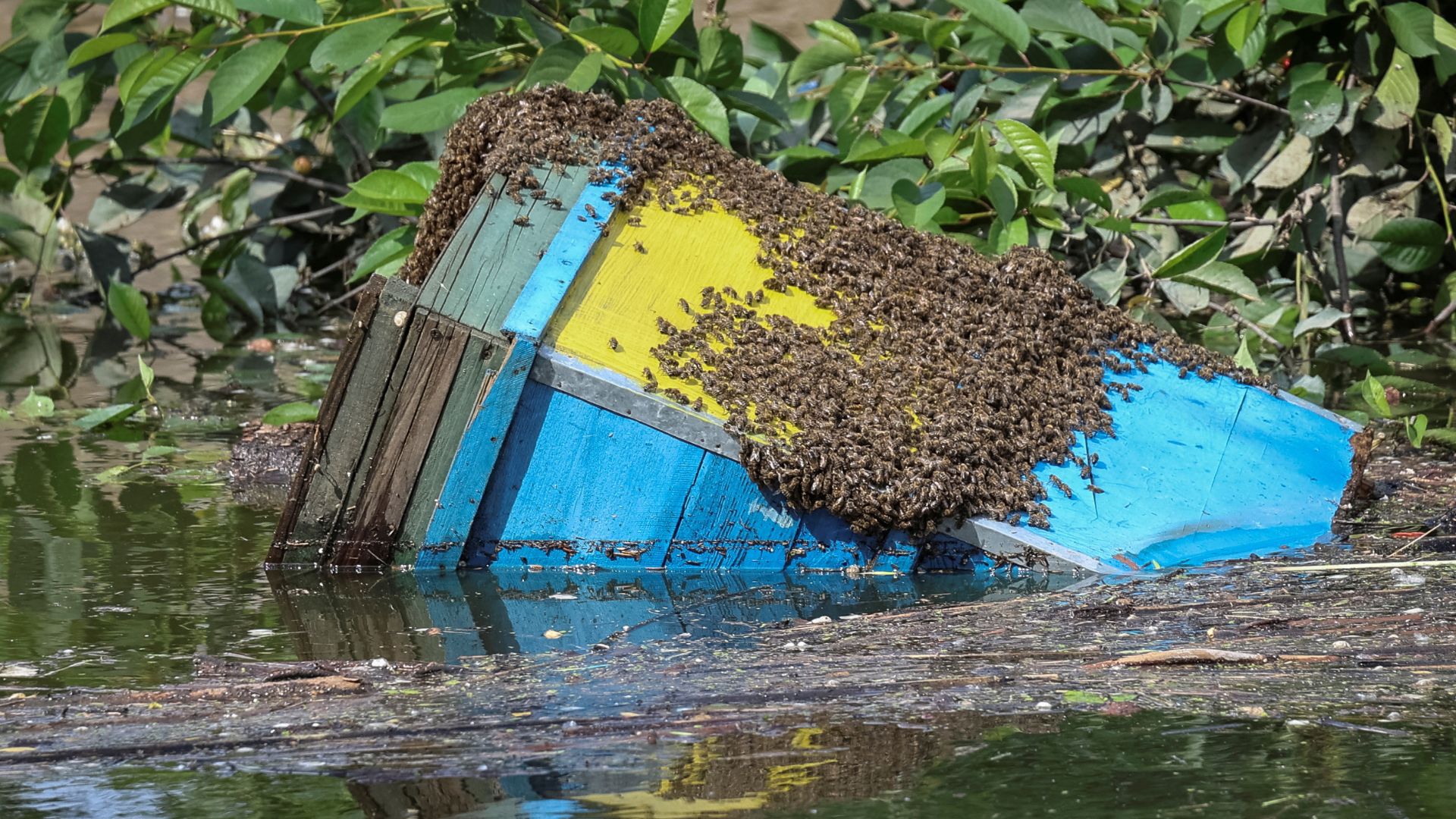 A beehive in the flooded village of Sadove. /Ivan Antypenko/Reuters