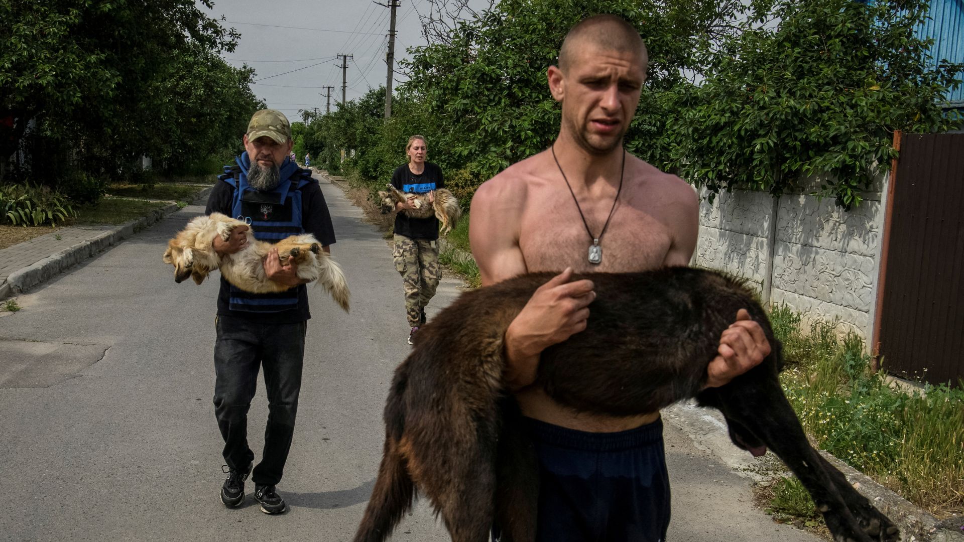 Volunteers evacuate sedated dogs from a flooded area. /Vladyslav Musiienko/Reuters