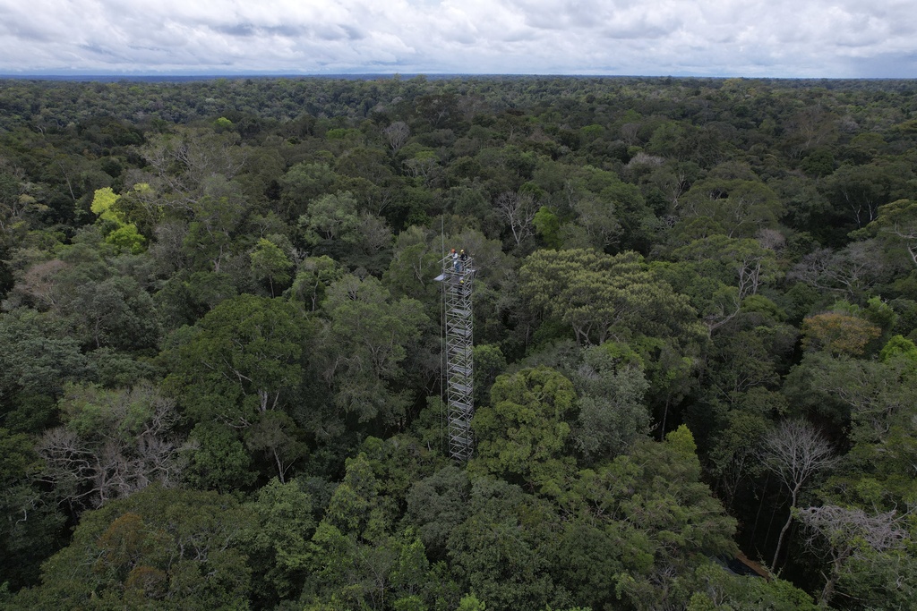 Britain has invested in a landmark scientific experiment to see how the Amazon rainforest responds to climate change./AP Photo/Fernando Crispim.