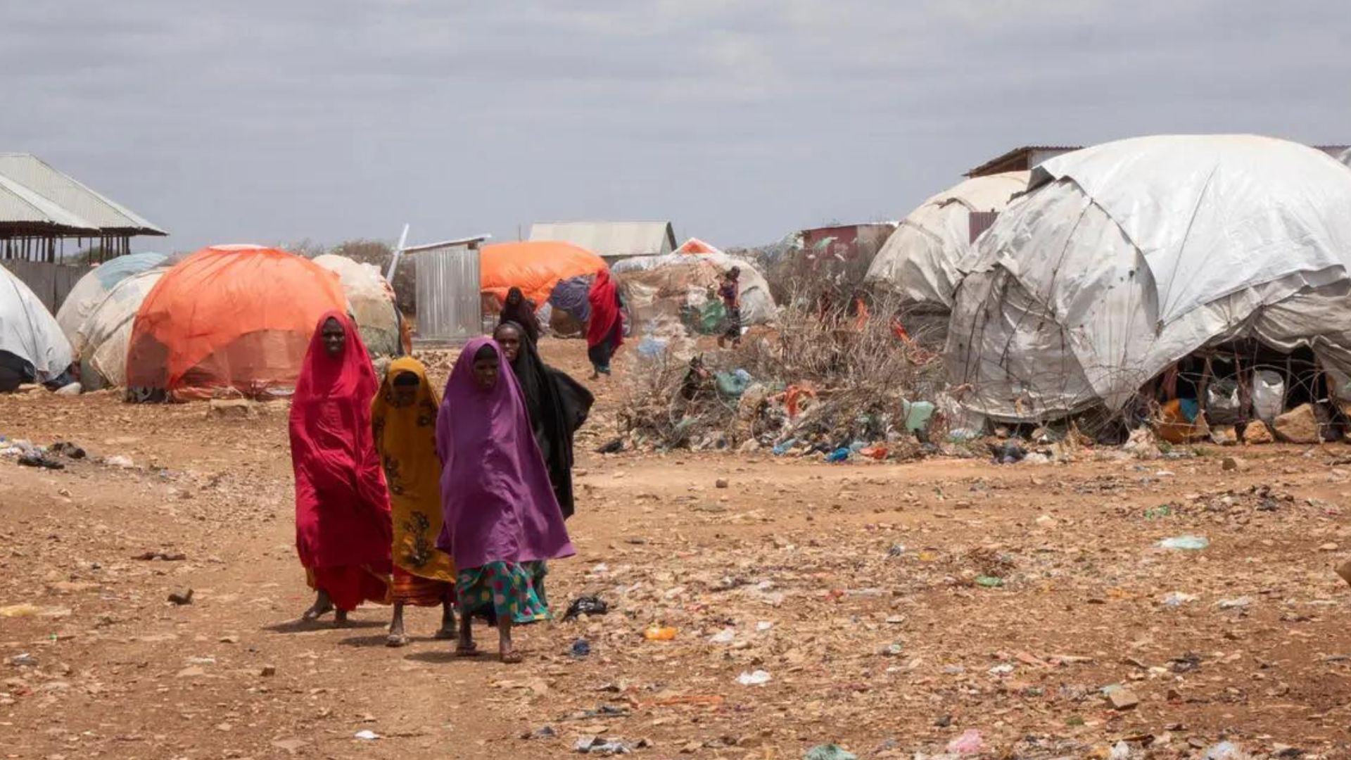 An overcrowded refugee camp one in Baidoa, in Somalia's South West State.
/Nabil Narch/UNHCR
