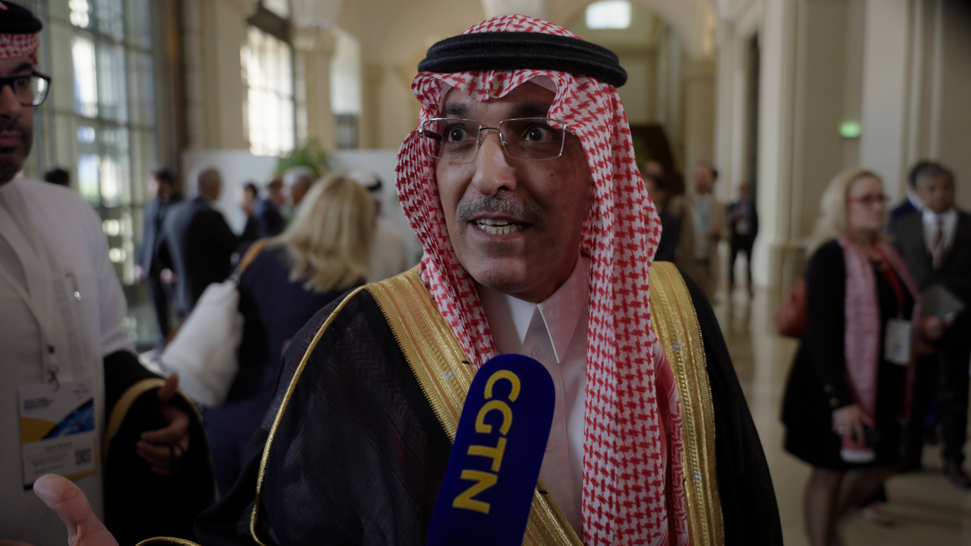 Saudi Arabia's Finance Minister Al-Jadaan calls for more cooperation between the world's development banks./CGTN/Dworschak