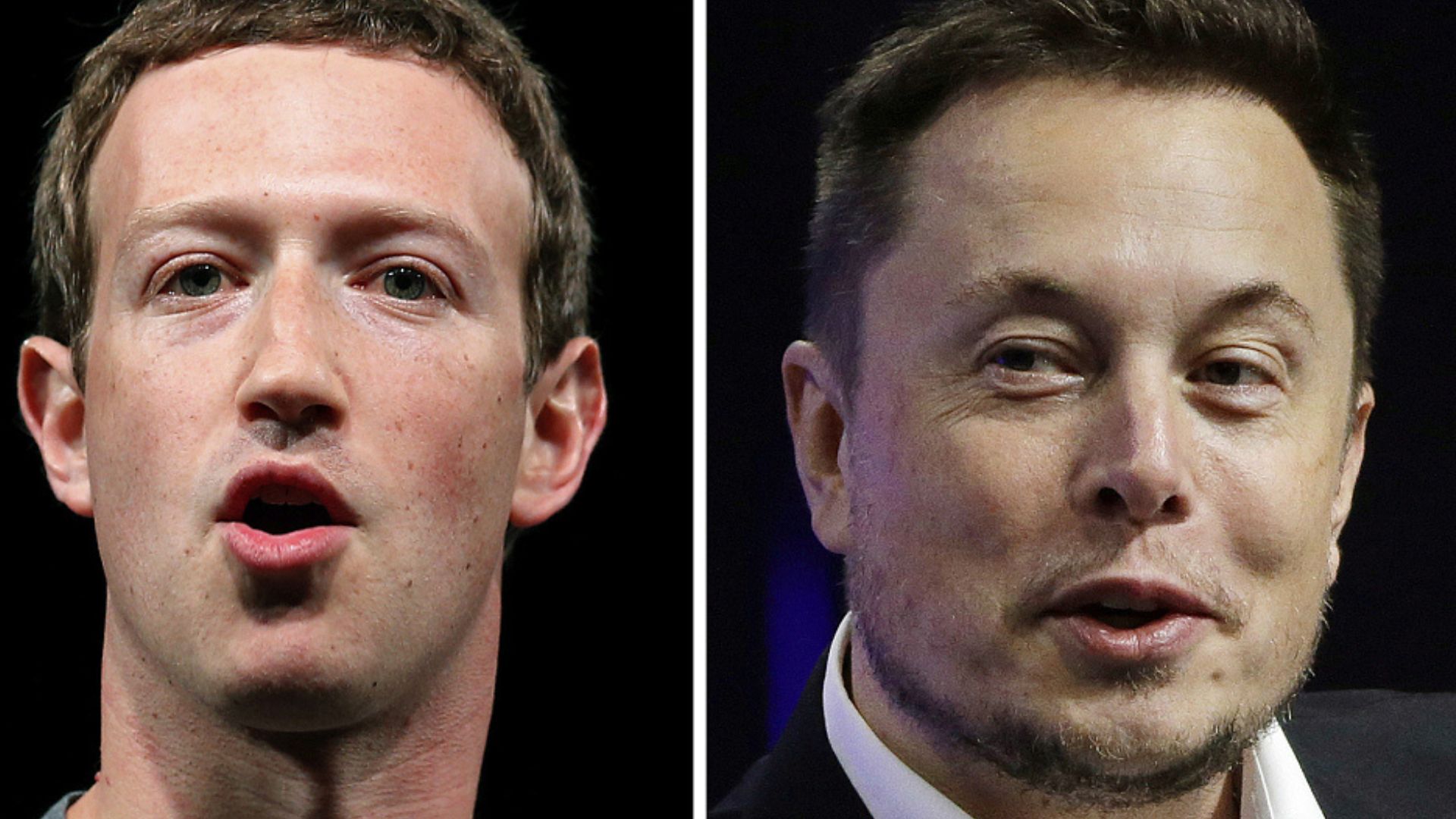 Meta's Mark Zuckerberg and Twitter's Elon Musk have proposed a cage fight. /CFP 
