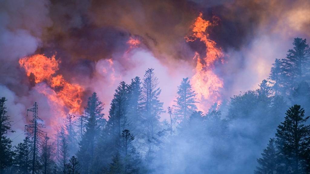 Rising temperatures are predicted to create a 50% rise in the number of catastrophic wildfires by 2100. /CFP