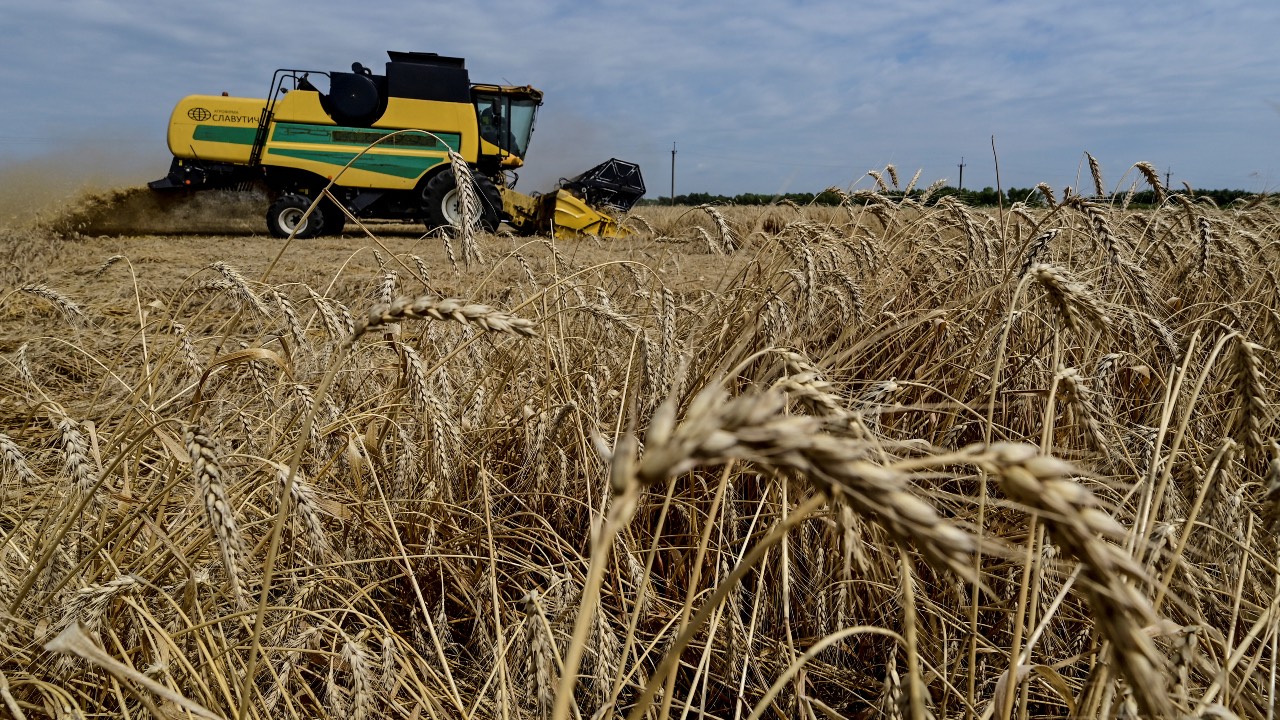 An agricultural worker operates a combine during a wheat harvesting in a field in the Zaporizhzhia region of Ukraine. /Stringer/Reuters
