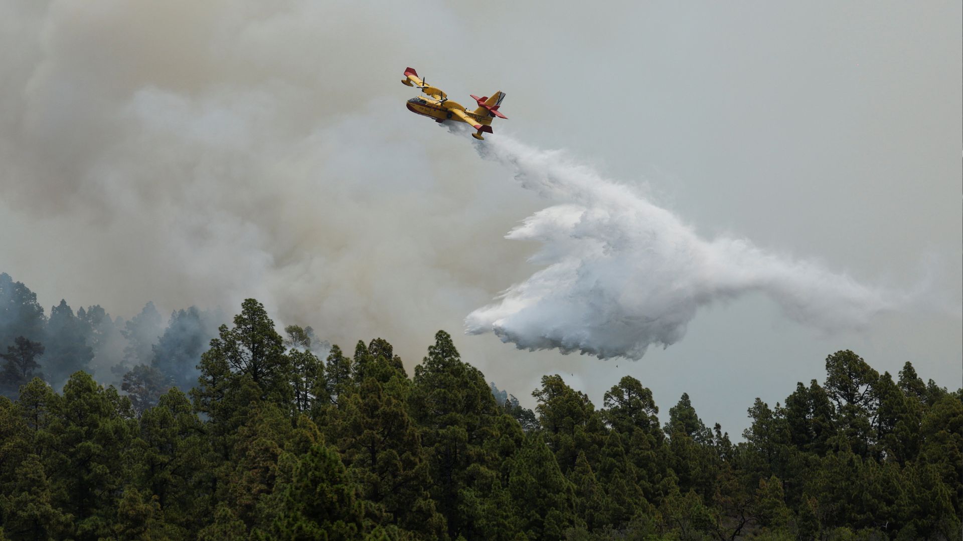 A seaplane carries out a discharge of water in the Tijarafe forest fire on the Canary Island of La Palma on Sunday. /Borja Suarez/Reuters

