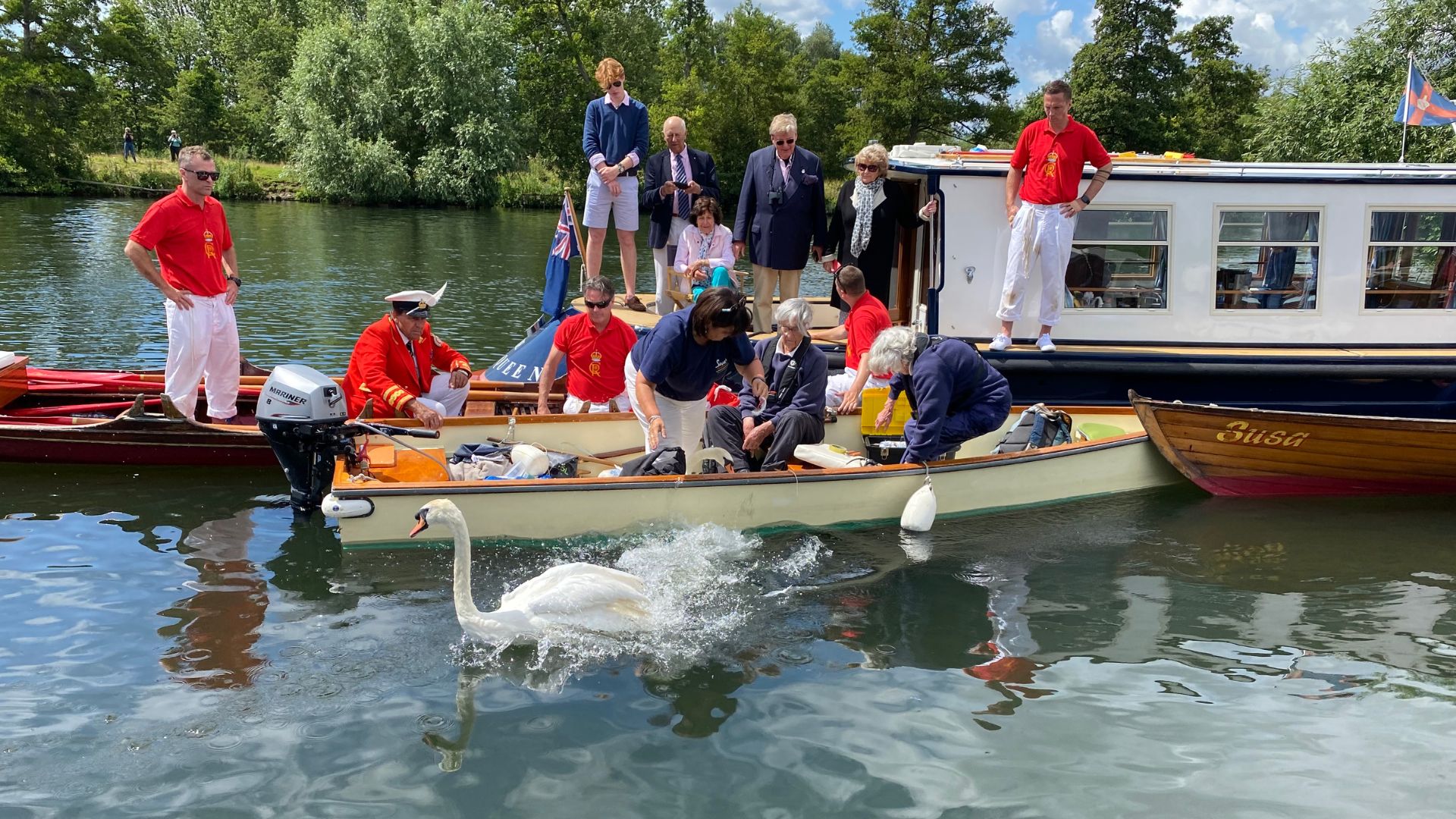 Swan Uppers inspecting the British Crown's swans. /Catherine Drew/CGTN