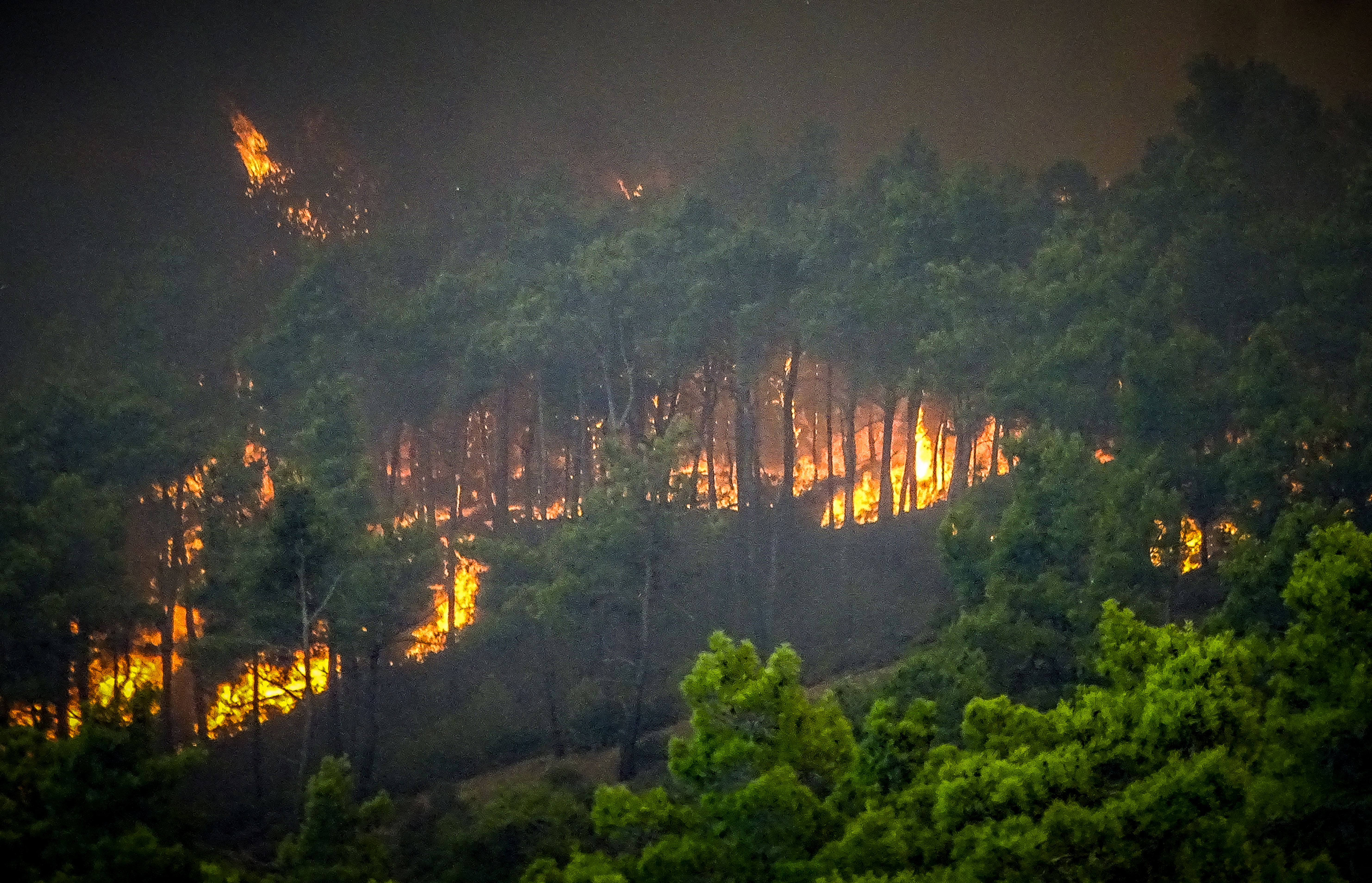 Fires ripping through forests on the holiday island of Rhodes. Argiris Mantikos/ Eurokinissi/ Reuters