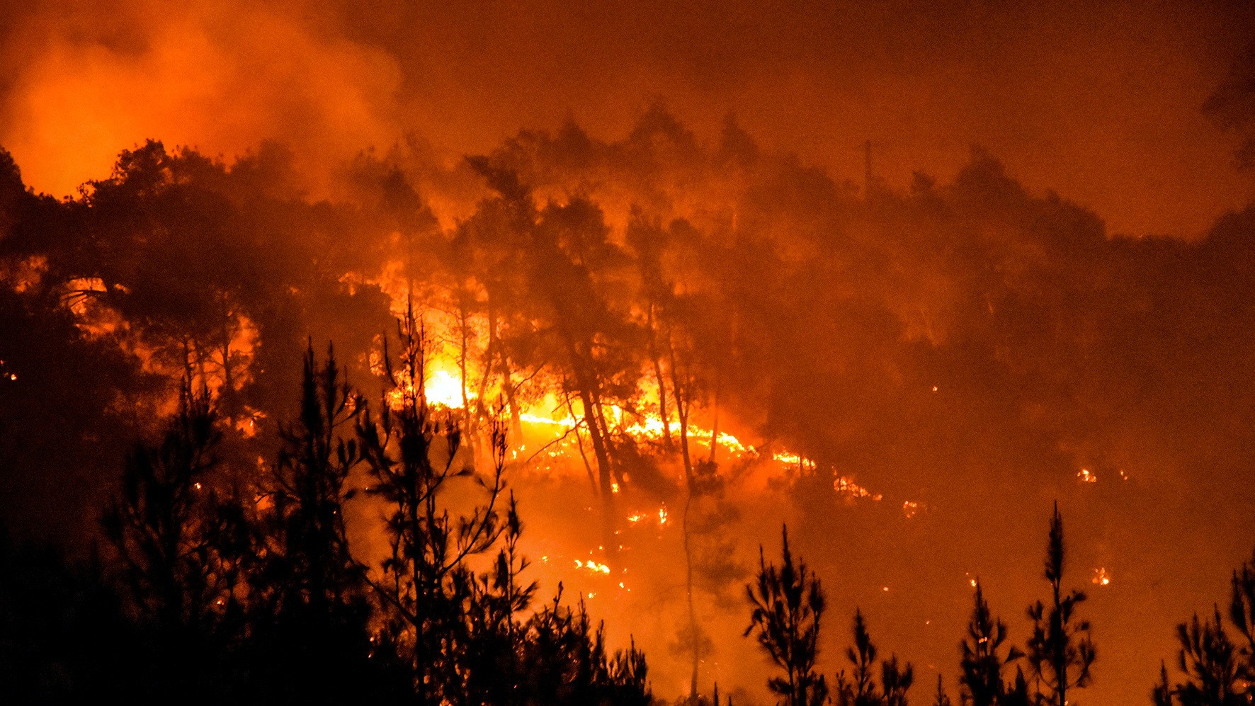 Wildfires burn in Latakia's northern countryside, Syria. /Reuters